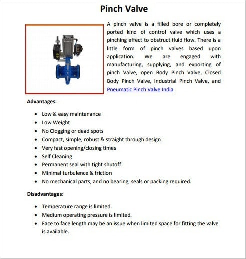 Pinch Valves India