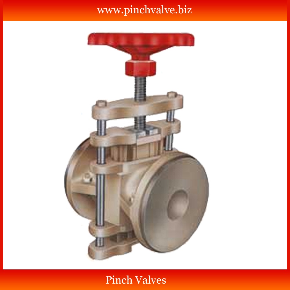 pinch valve in gujarat